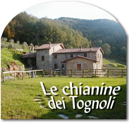 Gragnola Le Chianine Dei Tognoli酒店 外观 照片
